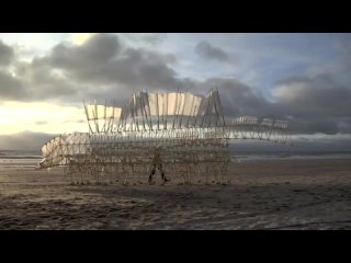 theo jansen. a person who creates sculptures driven by the wind