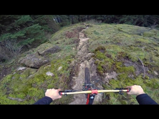 through the impenetrable forest on a bicycle