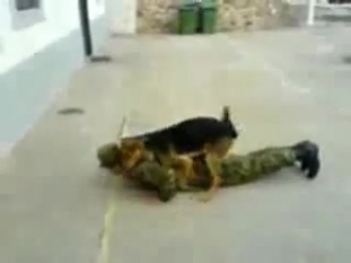 such sex in the army))