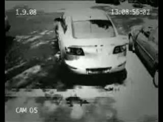 fast and competent car theft